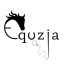 Equzja