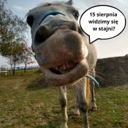 Darmowe oprowadzanki w dniu 15-08-2026