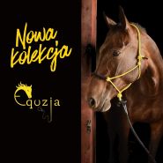 Nowa kolekcja