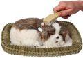 Zaadoptuj mnie Szczeniaczek oddychający Shih Tzu