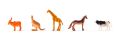 Kalendarz Adwentowy 24 elementy Faunica Animal Planet