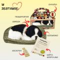 Border Collie Szczeniaczek oddychający do adopcji