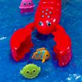 Krab do zabawy w wodzie