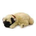 Perfect Petzzz Szczeniaczek oddychający Mops