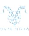 Naprasowanki Naplamki z cyrkoniami - Koziorożec- znaki zodiaku