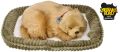 Zaadoptuj Oddychającego szczeniaczka Golden Retriever