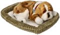 Szczeniaczek oddychający Bulldog