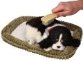 Zaadoptuj mnie Szczeniaczek oddychający Cocker Spaniel