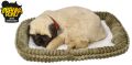 Perfect Petzzz Szczeniaczek oddychający Mops