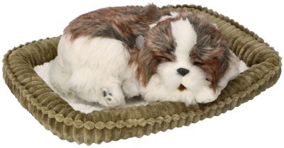 Zaadoptuj mnie Szczeniaczek oddychający Shih Tzu