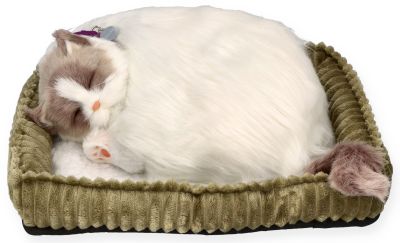 Oddychający Kociak Ragdoll Perfect Petzz