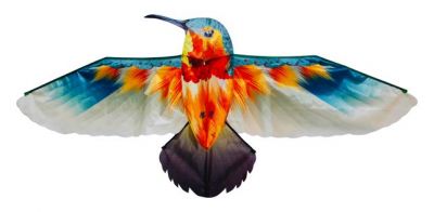 Latawiec Koliber