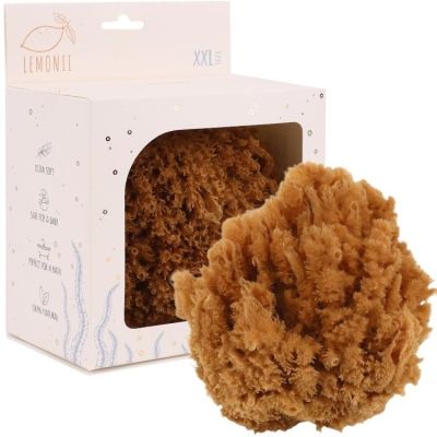 Naturalna Gąbka morska Grass XXL (nieobielona)