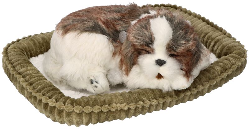 Zaadoptuj mnie Szczeniaczek oddychający Shih Tzu