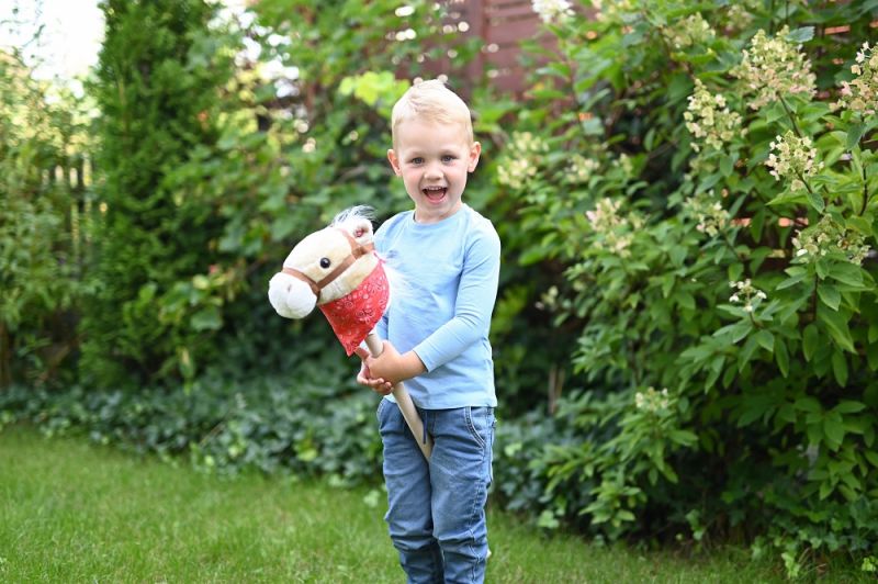 Konik na patyku Achał Hobby Horse