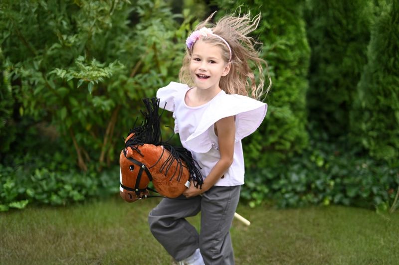 Konik na patyku Hobby Horse Gniadek