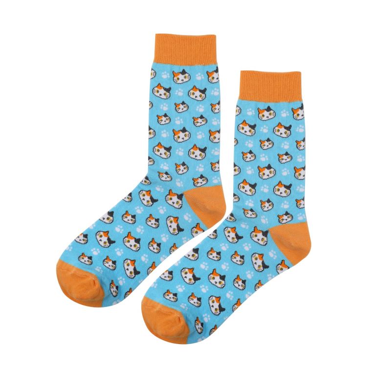 Skarpetki bawełniane z kotkiem niebieskie