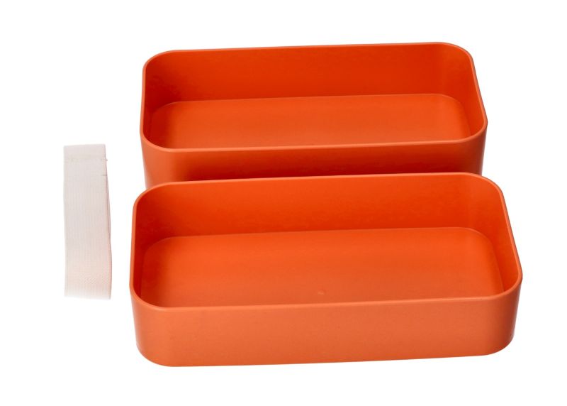 Lunch box pomarańczowy kot