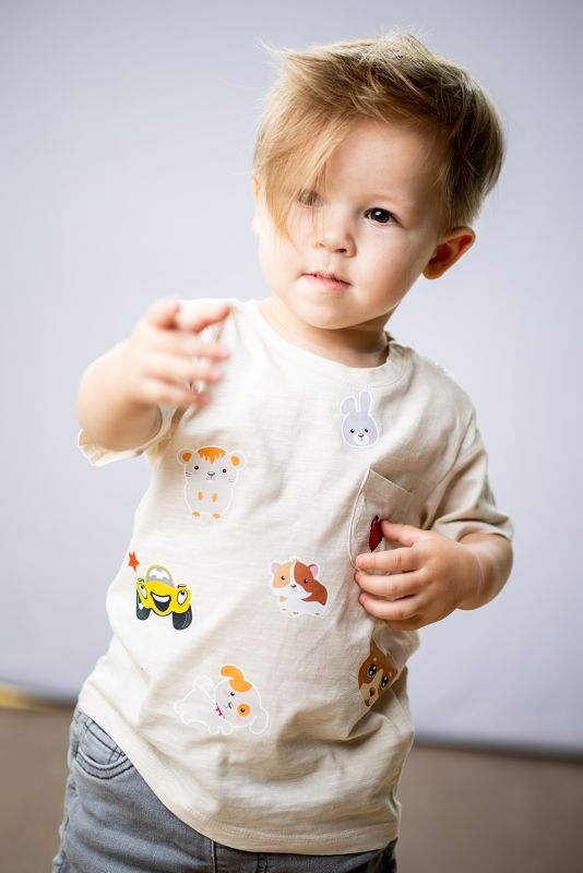 Naprasowanki zwierzęta Arktyczne Adam Toys