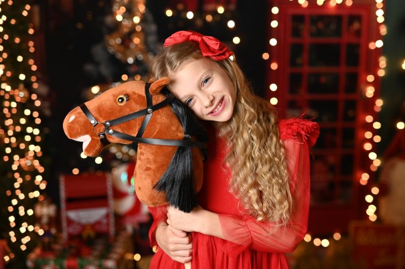 Konik na patyku Hobby Horse Fanta Premium