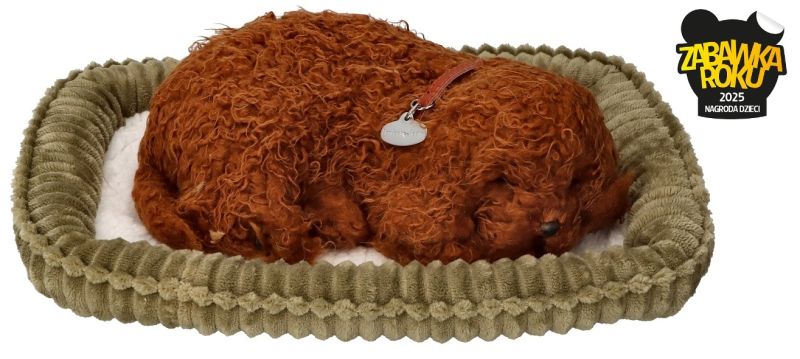 Perfect Petzzz Śpiący szczeniaczek Pudelek