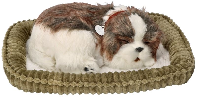Zaadoptuj mnie Szczeniaczek oddychający Shih Tzu