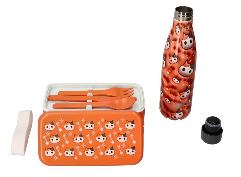 Lunch box pomarańczowy kot