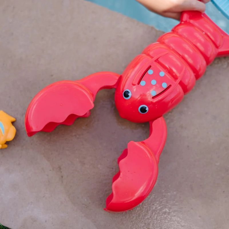 Krab do zabawy w wodzie