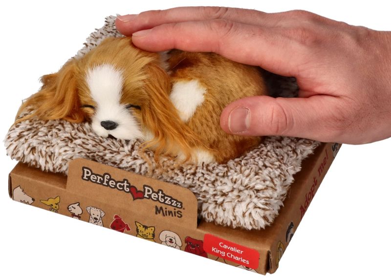 Śpiący szczeniaczek Cavalier King Charles Perfect Petzzz