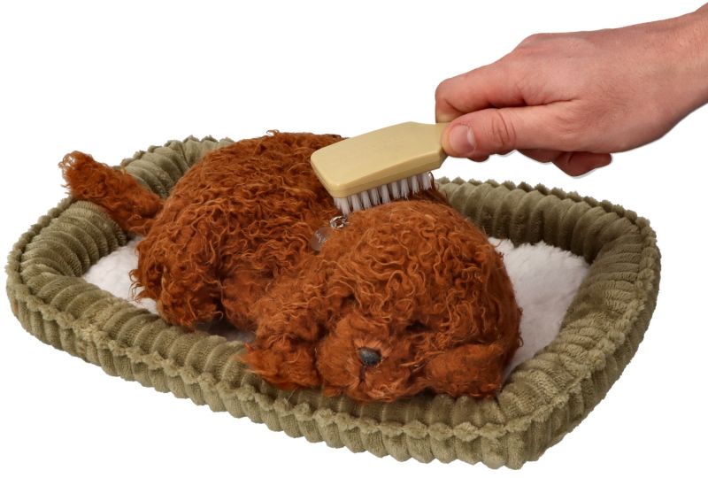 Perfect Petzzz Śpiący szczeniaczek Pudelek