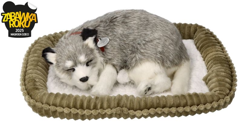 Szczeniaczek oddychający Alaskan Husky