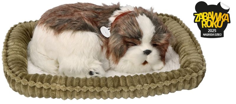 Zaaodoptuj mnie Szczeniaczek oddychający Shih Tzu