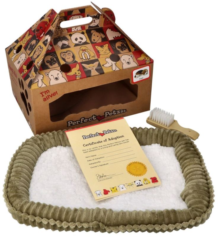 Kociak oddychający Pręgowany rudy - OUTLET