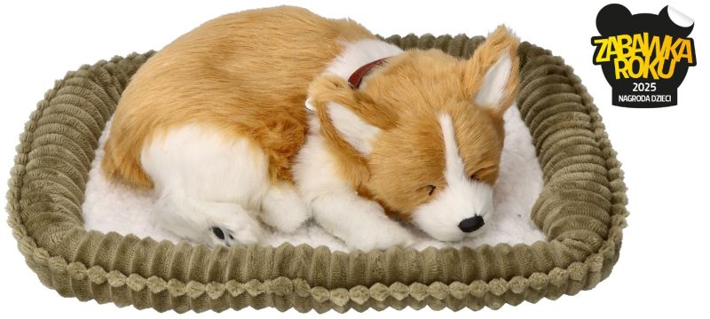 Oddychający szczeniaczek Corgie