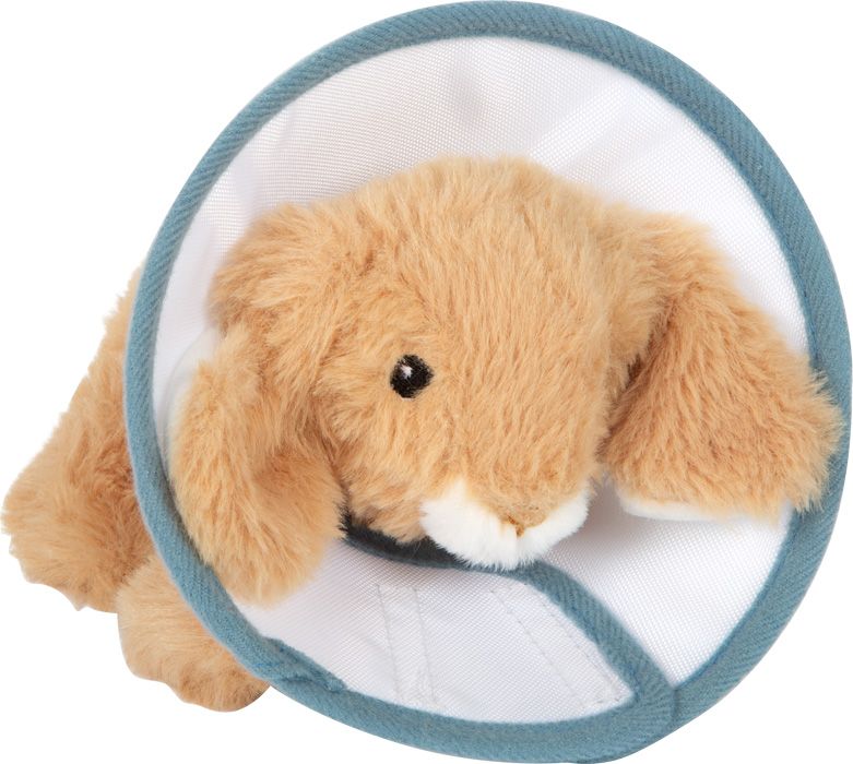 Króliczek Tuptuś z zestawem weterynaryjnym