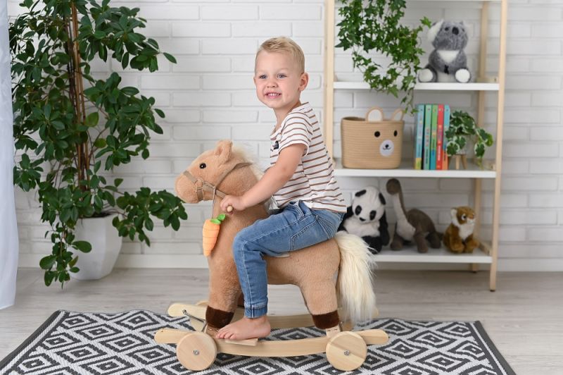 Konik na biegunach z marchewką