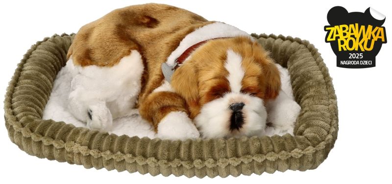 Szczeniaczek oddychający Bulldog