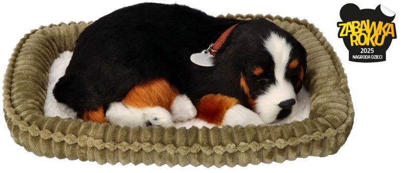 Perfect Petzzz Oddychający Berneńczyk do zaadoptowania