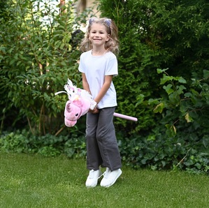 Jednorożec na patyku Rosa Hobby Horse