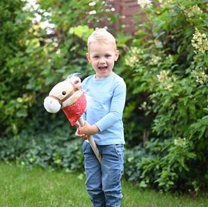 Konik na patyku Achał Hobby Horse