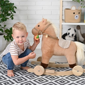 Konik na biegunach z marchewką